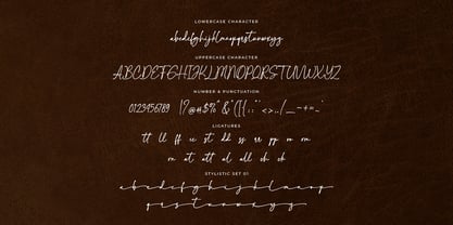 Calestina Font Poster 8