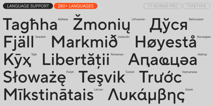 TT Norms Pro Font Poster 7