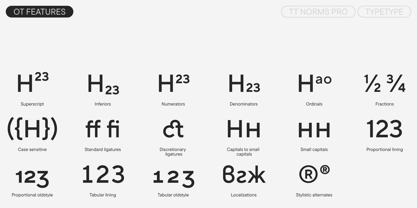 TT Norms Pro Font Poster 12