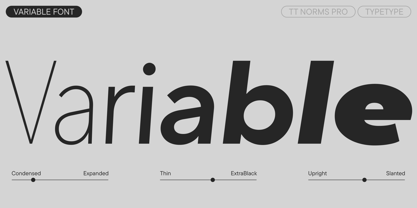 TT Norms Pro Font Poster 5