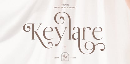 Belaine Font Poster 10