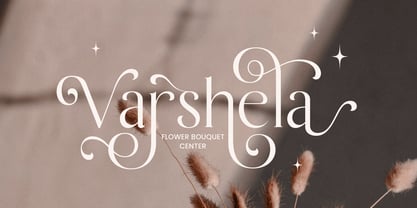 Belaine Font Poster 9