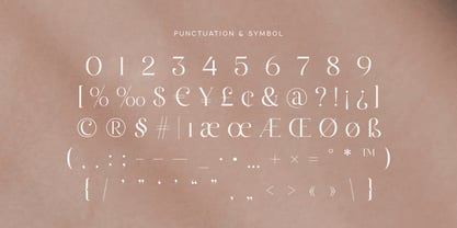 Belaine Font Poster 14