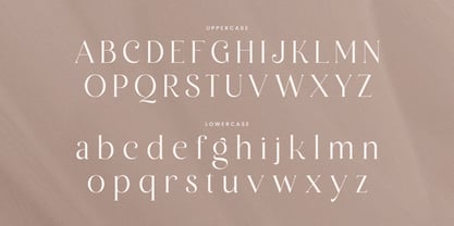 Belaine Font Poster 13