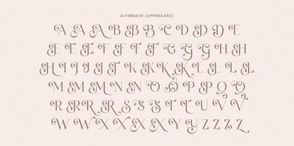 Belaine Font Poster 12