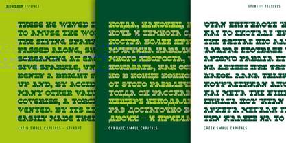 Rootzin Font Poster 10