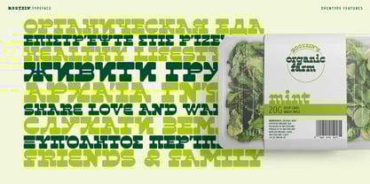 Rootzin Font Poster 11