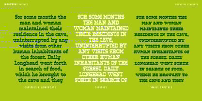 Rootzin Font Poster 9