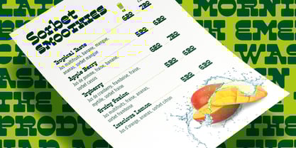 Rootzin Font Poster 13