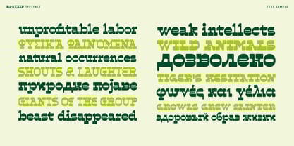 Rootzin Font Poster 2