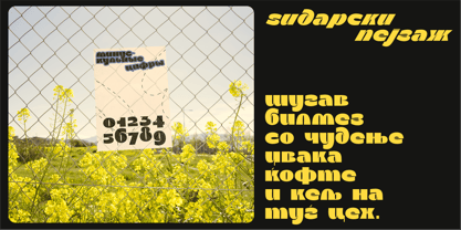 SK Day Off Font Poster 13