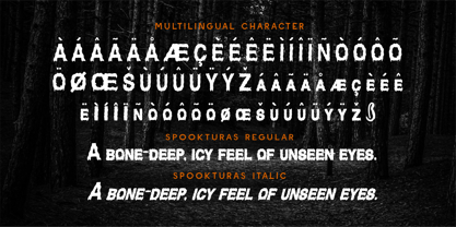 CF Spookturas Font Poster 7