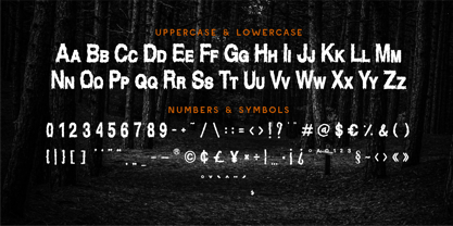 CF Spookturas Font Poster 6