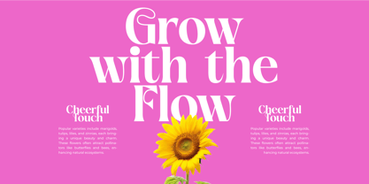 April Kaget Font Poster 9