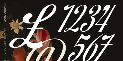 Brellight Font Poster 11