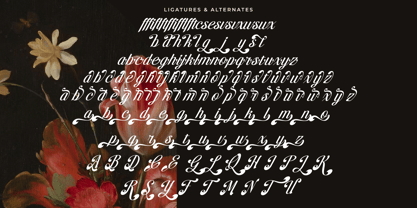 Brellight Font Poster 14