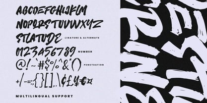 MC Destim Crine Font Poster 7