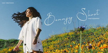 Aesallyn Font Poster 7