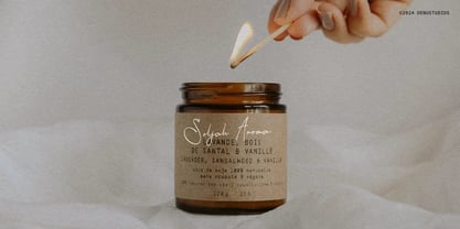 Aesallyn Font Poster 8