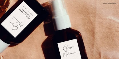 Aesallyn Font Poster 9