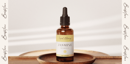 Browntone Font Poster 7