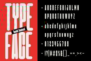 Sotice Font Poster 2