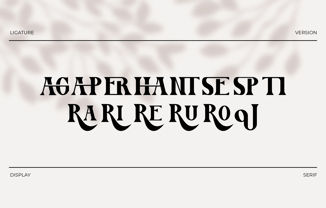 Vortise Font Poster 5