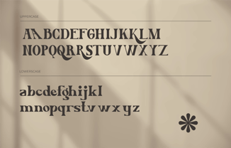 Vortise Font Poster 2