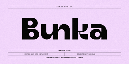 Bunka Font Poster 1