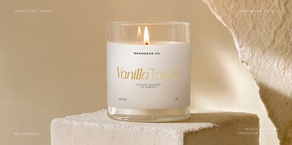 BD Serenity Font Poster 7