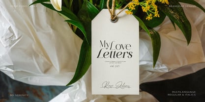 BD Serenity Font Poster 2