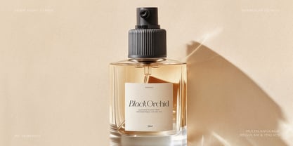 BD Serenity Font Poster 4