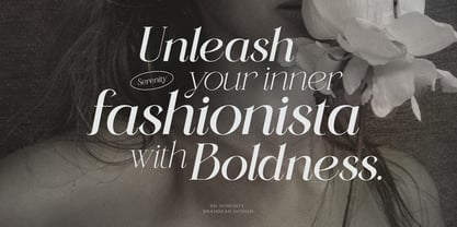 BD Serenity Font Poster 6