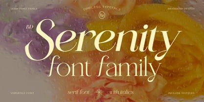 BD Serenity Font Poster 1