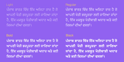Shree Punjabi 0951 Font Poster 1