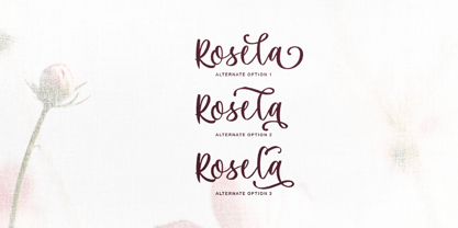 Maria Heart Font Poster 6