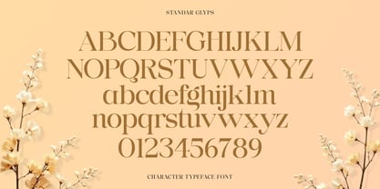 Lanchitas Font Poster 8