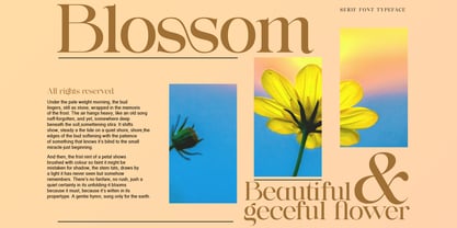 Lanchitas Font Poster 2