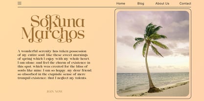 Lanchitas Font Poster 9