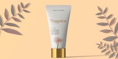 Lanchitas Font Poster 6