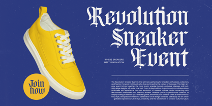 Bluster Elation Font Poster 3