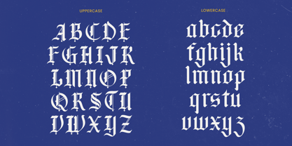 Bluster Elation Font Poster 14