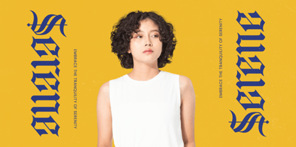 Bluster Elation Font Poster 2