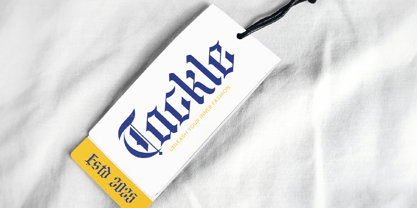 Bluster Elation Font Poster 7