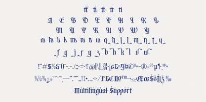 Bluster Elation Font Poster 15