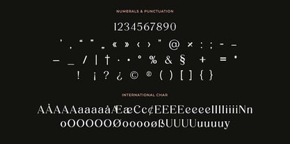 Victorian Vogue Font Poster 10