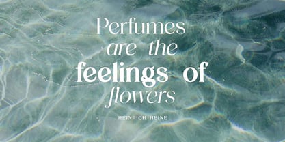 Victorian Vogue Font Poster 4