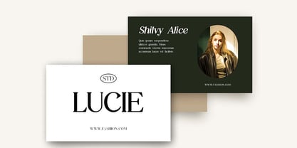 Victorian Vogue Font Poster 12