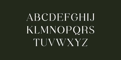 Victorian Vogue Font Poster 7