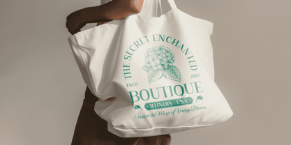 Alkalis Rough Font Poster 3